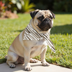 Pack 2 unidades bandana para mascotas XALÓ C