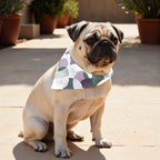 Pack 2 unidades bandana para mascotas YORK LILA RED.