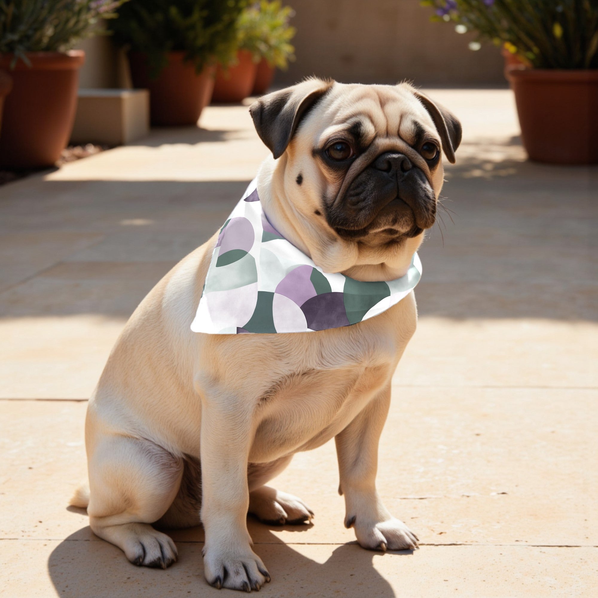 Pack 2 unidades bandana para mascotas YORK LILA RED.