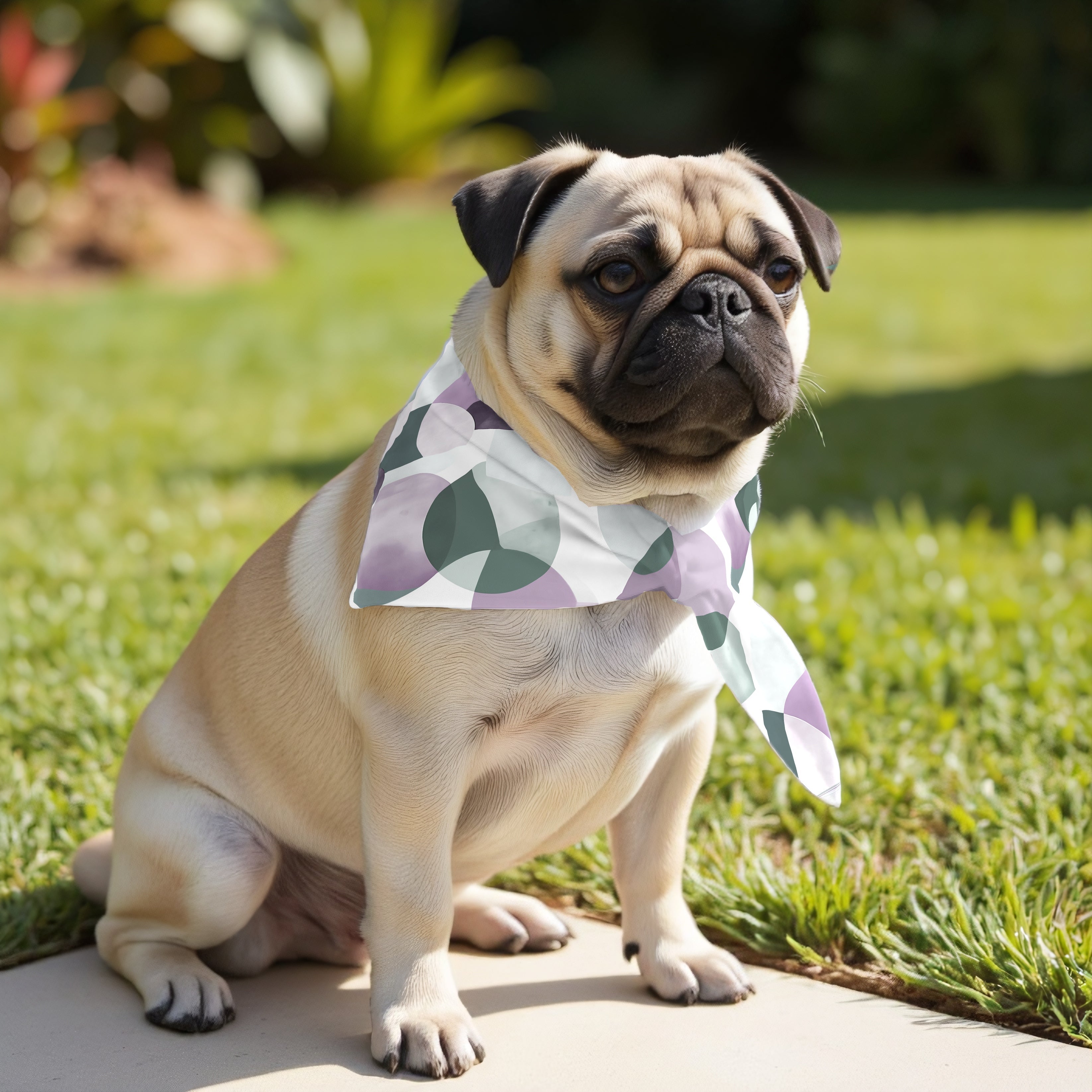 Pack 2 unidades bandana para mascotas YORK LILA RED.