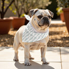 Pack 2 unidades bandana para mascotas ZALIKI 125-5 1