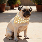 Pack 2 unidades bandana para mascotas ARTÁ