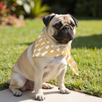 Pack 2 unidades bandana para mascotas ARTÁ