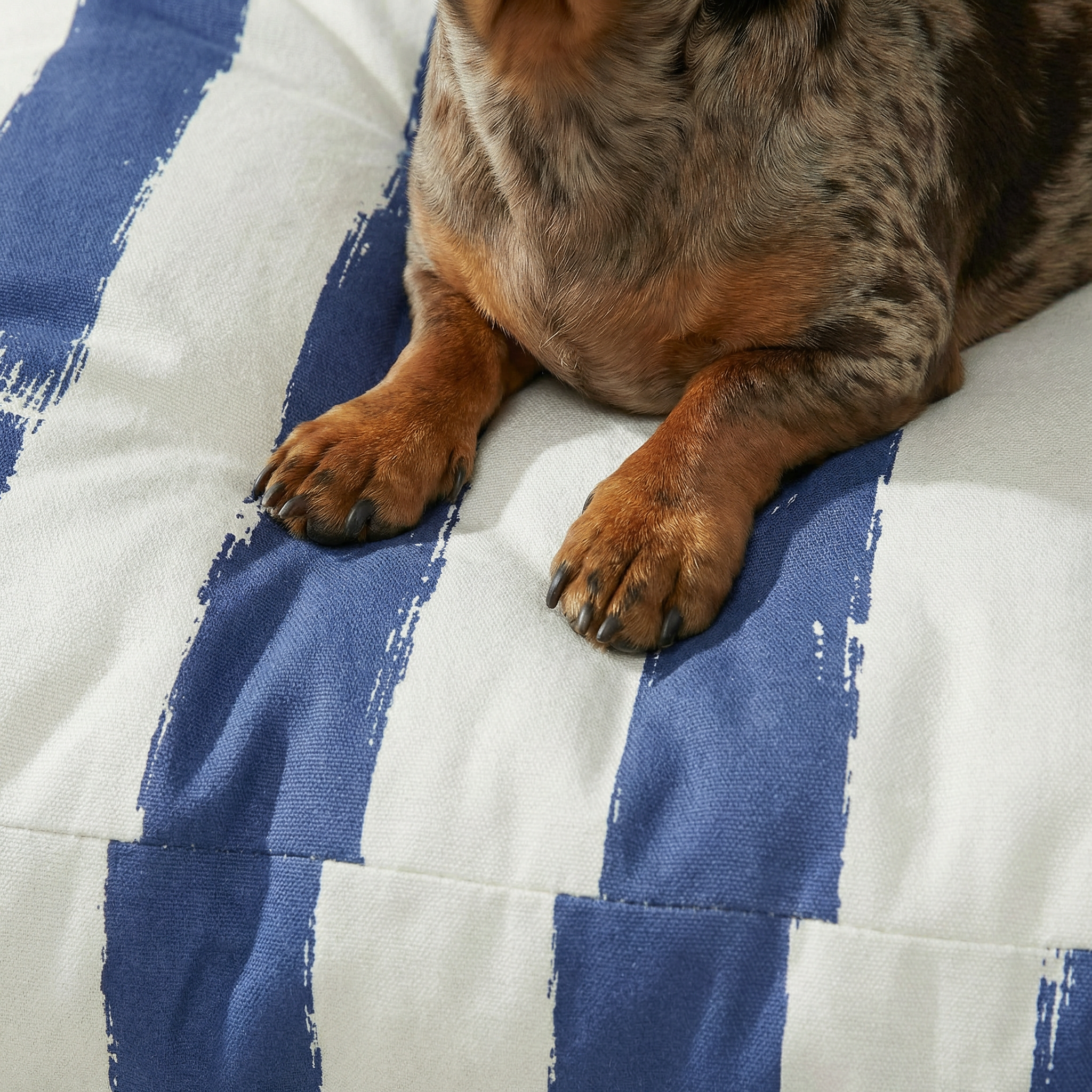 Cama para mascotas gruesa y acolchada antimanchas Cambrils