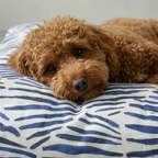 Cama para mascotas gruesa y acolchada antimanchas Gavina