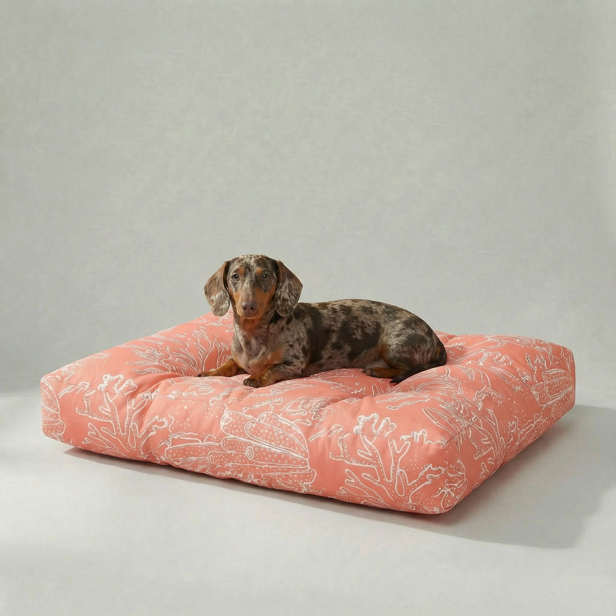 Cama para mascotas gruesa y acolchada antimanchas Estarit Coral