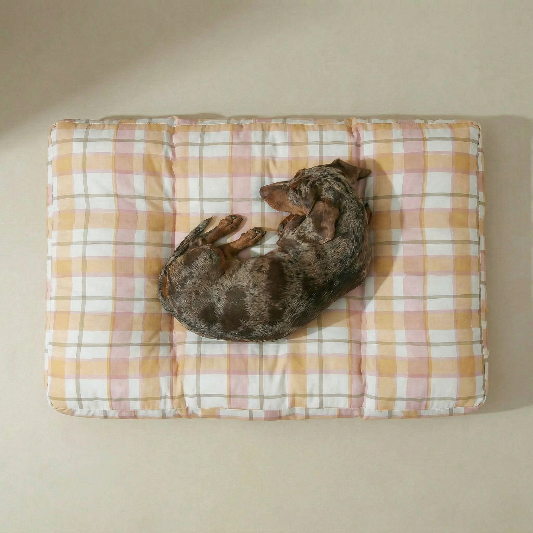 Cama para mascotas gruesa y acolchada antimanchas Morella