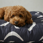 Cama para mascotas gruesa y acolchada antimanchas Calella Azul