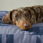 Cama para mascotas gruesa y acolchada antimanchas Mahón Azul Marino