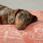 Cama para mascotas gruesa y acolchada antimanchas Estarit Coral