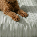 Cama para mascotas gruesa y acolchada antimanchas Lluc Verde