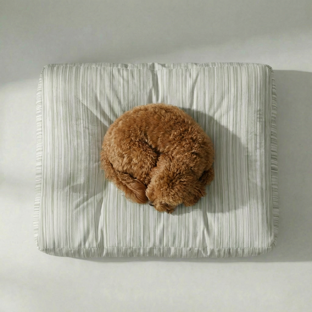 Cama para mascotas gruesa y acolchada antimanchas Lluc Verde