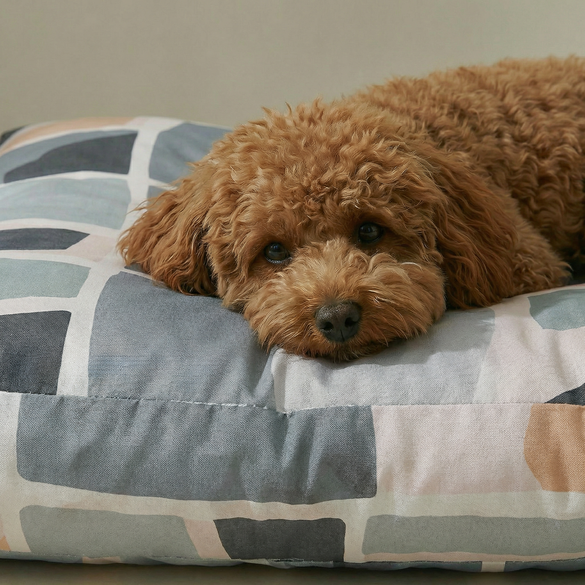 Cama para mascotas gruesa y acolchada antimanchas Peníscola