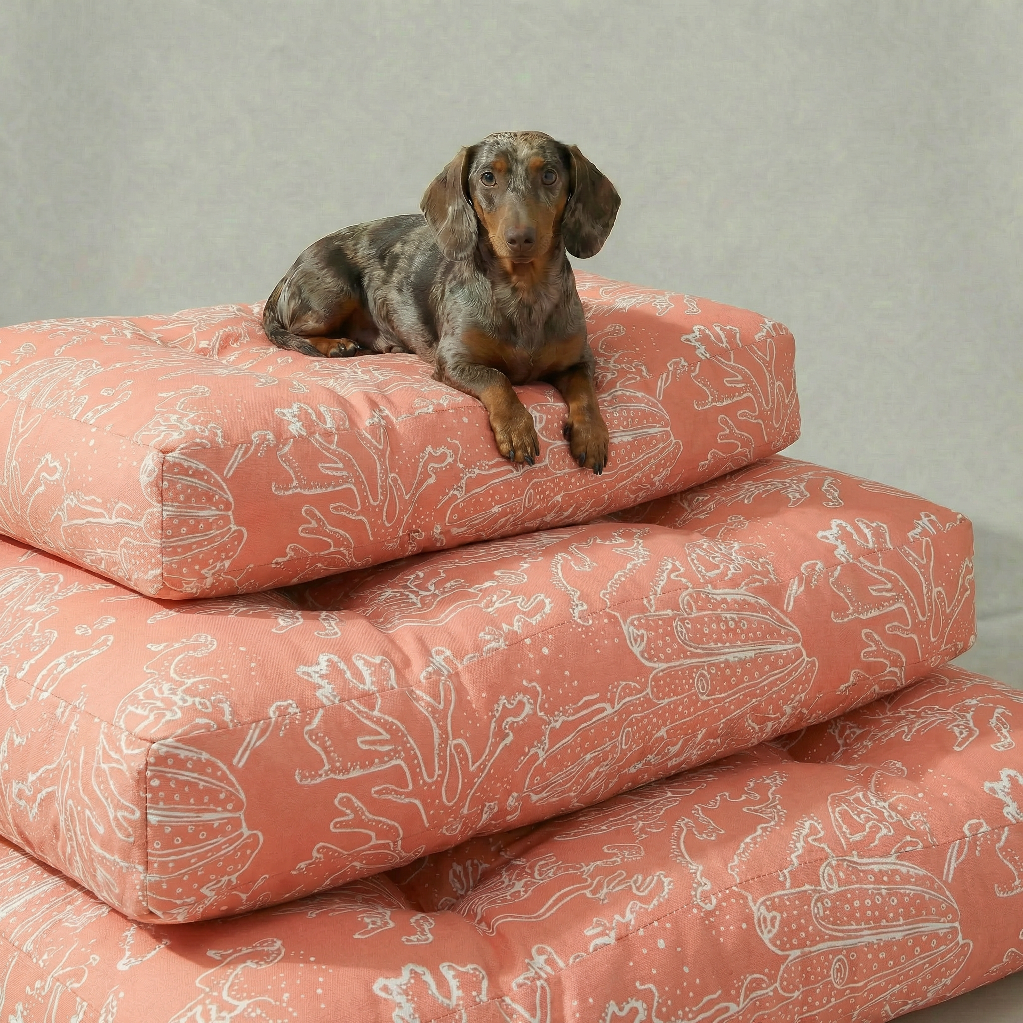 Cama para mascotas gruesa y acolchada antimanchas Estarit Coral