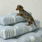 Cama para mascotas gruesa y acolchada antimanchas Peñíscola B