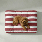 Cama para mascotas gruesa y acolchada antimanchas Torrox Grande