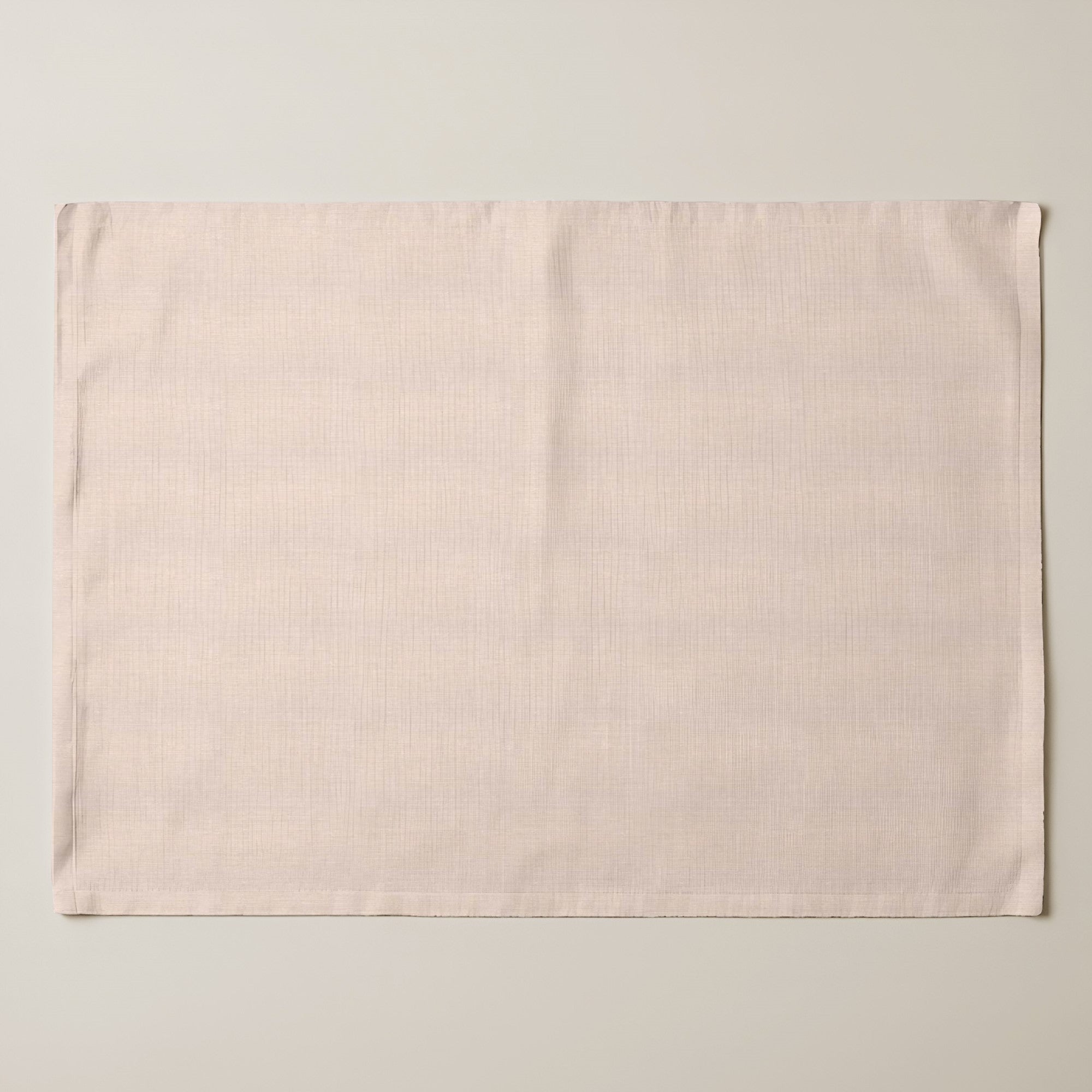 Pack of 2 units Smooth resinized individual tablecloth 2616 - 45x35 cm