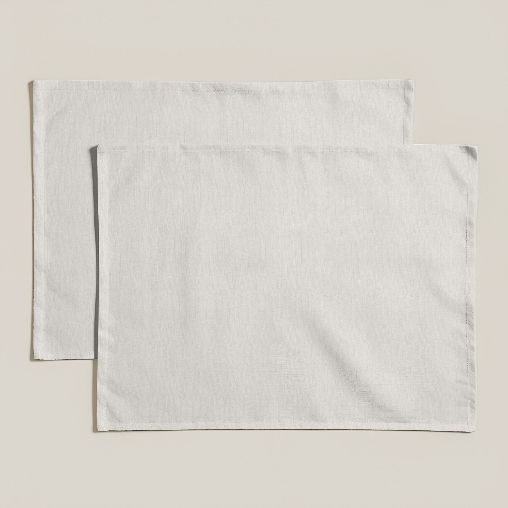 Pack of 2 units Smooth resinized individual tablecloth 2716 - 45x35 cm