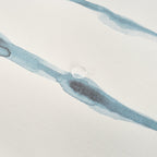 Nappe antitache Vera 100% coton