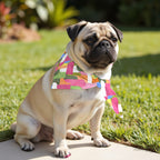 Pack 2 unidades bandana para mascotas Modelo 6