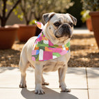 Pack 2 unidades bandana para mascotas Modelo 6